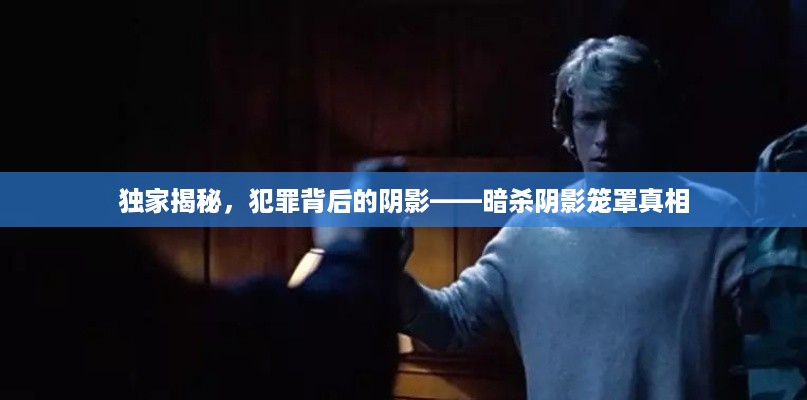 独家揭秘,犯罪背后的阴影——暗杀阴影笼罩真相