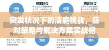 突发状况下的法庭挑战,应对策略与解决方案实战指南