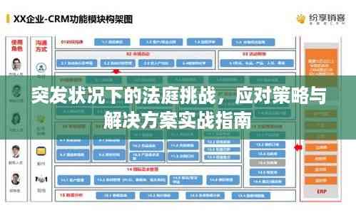 突发状况下的法庭挑战,应对策略与解决方案实战指南