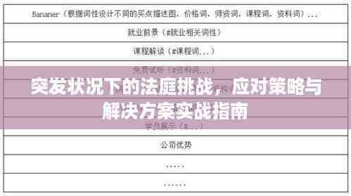 突发状况下的法庭挑战,应对策略与解决方案实战指南