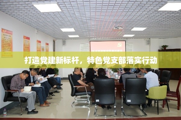 打造党建新标杆,特色党支部落实行动