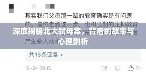 深度揭秘北大弑母案,背后的故事与心理剖析