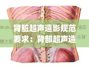飞檐走壁 第2页