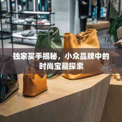 独家买手揭秘,小众品牌中的时尚宝藏探索