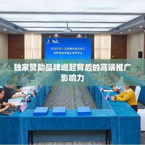 独家赞助品牌崛起背后的高端推广影响力