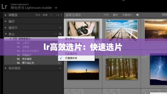 lr高效选片：快速选片 
