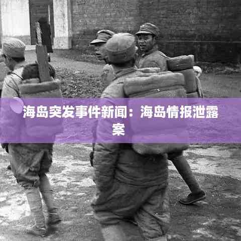 海岛突发事件新闻:海岛情报泄露案