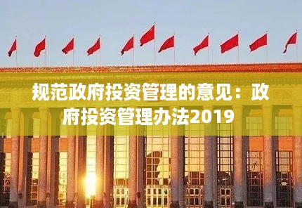 规范政府投资管理的意见：政府投资管理办法2019 