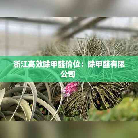 破马张飞 第4页