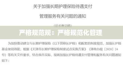 严格规范规:严格规范化管理