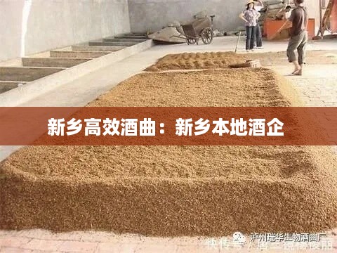 新乡高效酒曲:新乡本地酒企