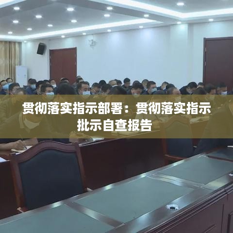贯彻落实指示部署：贯彻落实指示批示自查报告 