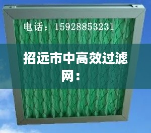 招远市中高效过滤网: