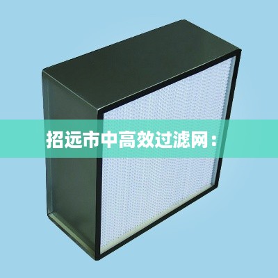 招远市中高效过滤网: