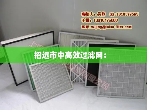 招远市中高效过滤网: