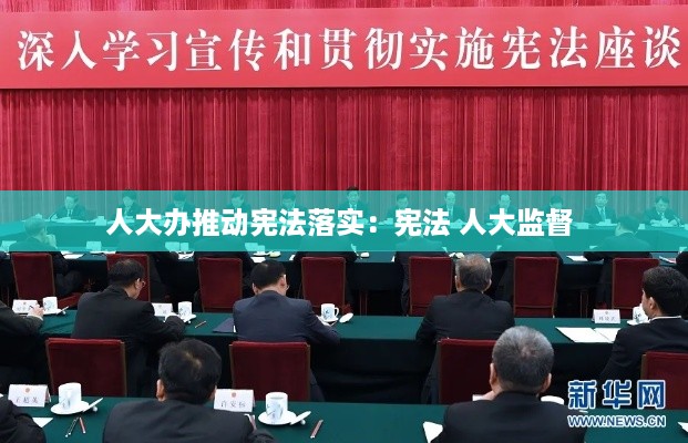 人大办推动宪法落实:宪法 人大监督