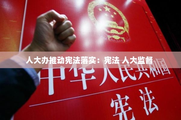 人大办推动宪法落实:宪法 人大监督