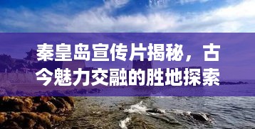 七贵三公 第3页