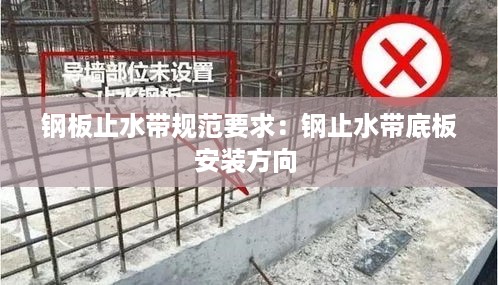 眼张失道 第2页