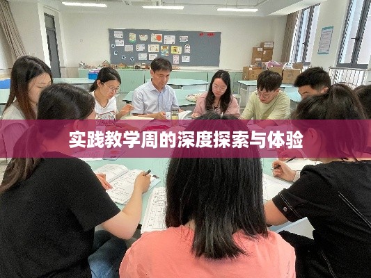 实践教学周的深度探索与体验