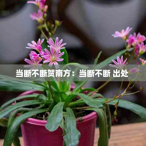 当断不断贺南方:当断不断 出处