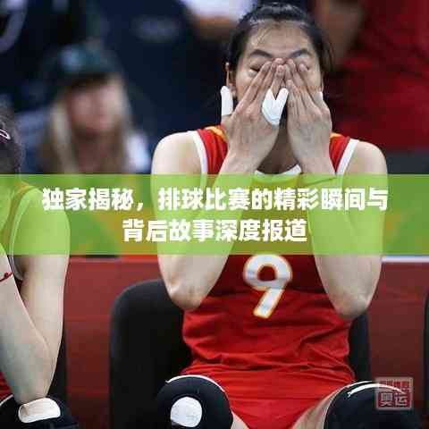 独家揭秘，排球比赛的精彩瞬间与背后故事深度报道