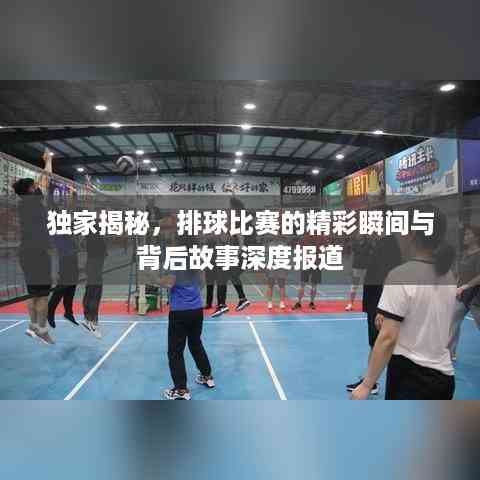 独家揭秘,排球比赛的精彩瞬间与背后故事深度报道