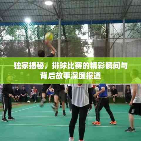 独家揭秘,排球比赛的精彩瞬间与背后故事深度报道