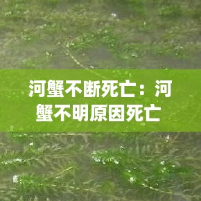 学贵有疑 第3页