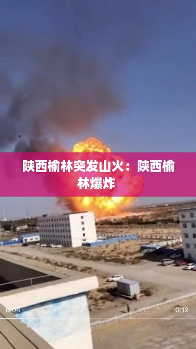 玉树临风 第3页