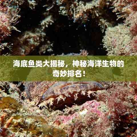 海底鱼类大揭秘,神秘海洋生物的奇妙排名!