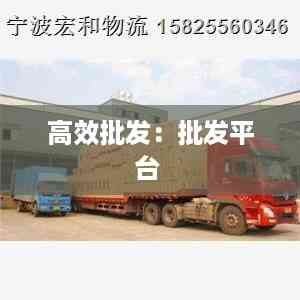 高效批发:批发平台