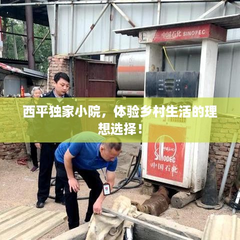 罗含梦鸟 第2页