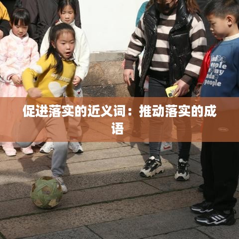 促进落实的近义词：推动落实的成语 