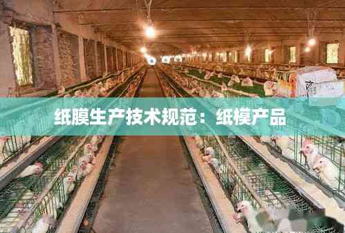 纸膜生产技术规范:纸模产品