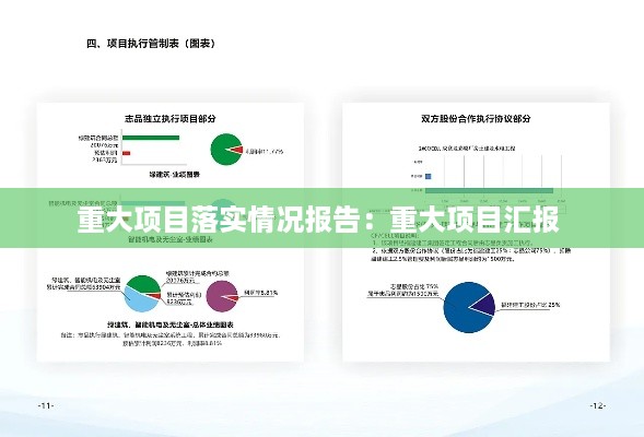 重大项目落实情况报告:重大项目汇报