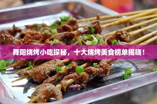 舞阳烧烤小吃探秘,十大烧烤美食榜单揭晓!