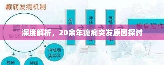 深度解析,20余年癫痫突发原因探讨