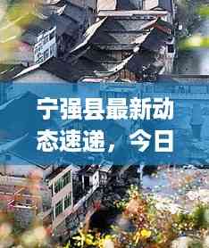宁强县最新动态速递,今日热点消息一网打尽