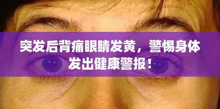 富贵骄人 第2页