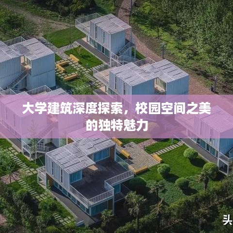 为民请命 第3页