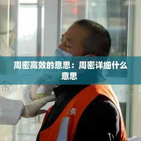 周密高效的意思:周密详细什么意思