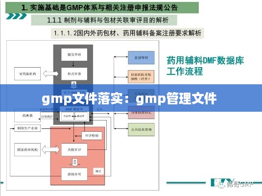 gmp文件落实:gmp管理文件