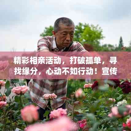 精彩相亲活动,打破孤单,寻找缘分,心动不如行动!宣传语大揭秘!