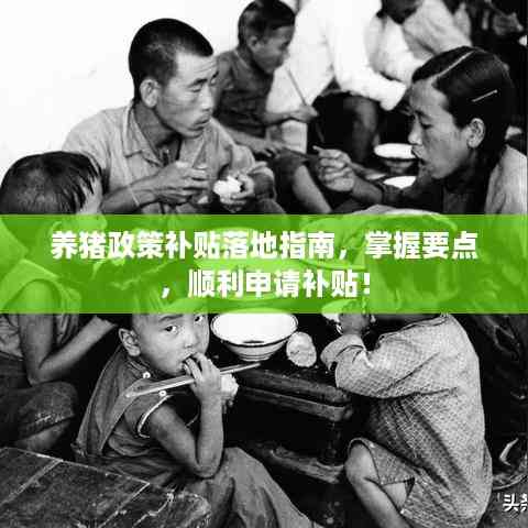 养猪政策补贴落地指南,掌握要点,顺利申请补贴!