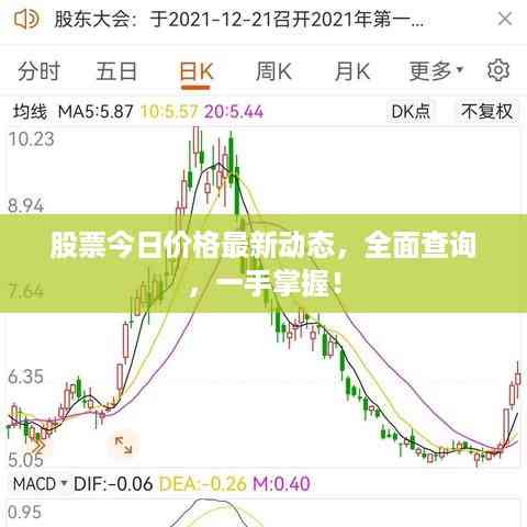 股票今日价格最新动态,全面查询,一手掌握!