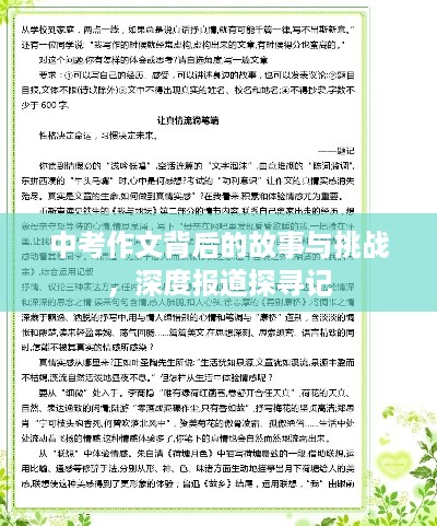 窗明几净 第3页