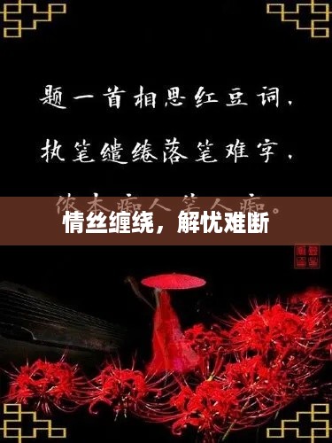 情丝缠绕,解忧难断