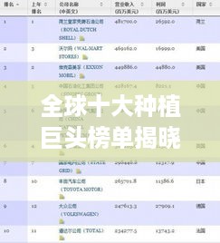 饭来张口 第2页