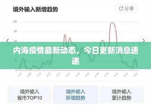 内海疫情最新动态，今日更新消息速递